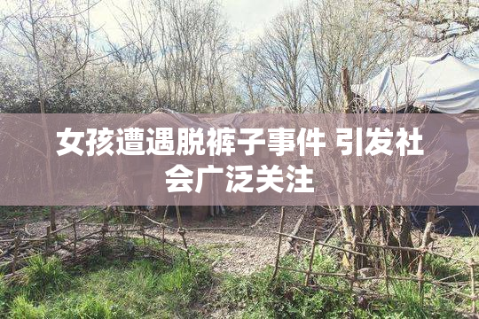 女孩遭遇脱裤子事件 引发社会广泛关注