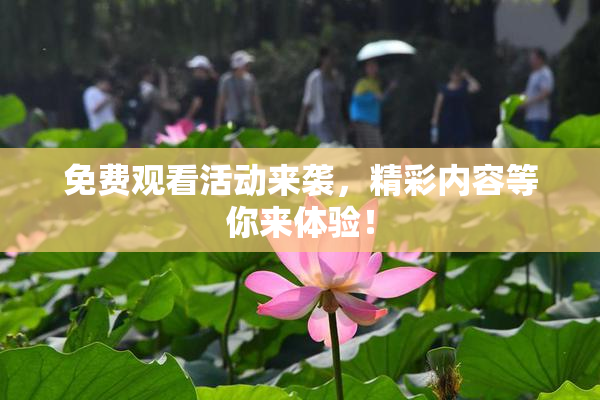 免费观看活动来袭，精彩内容等你来体验！