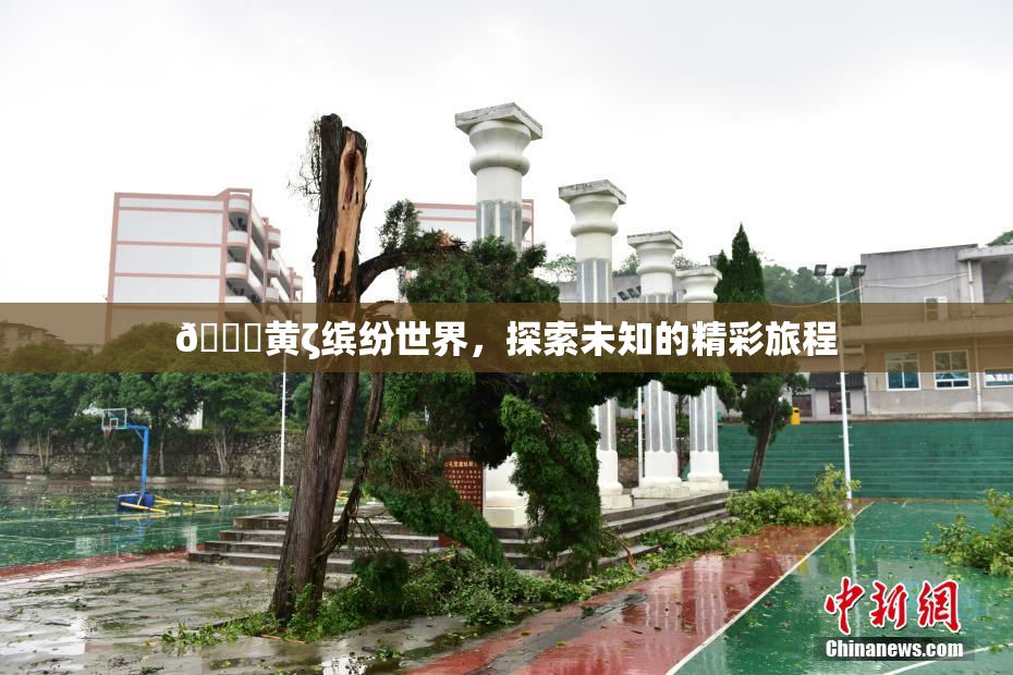 🔞黄ζ缤纷世界，探索未知的精彩旅程