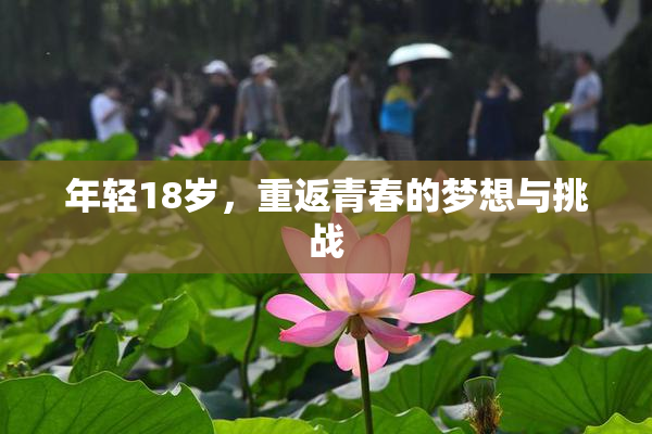 年轻18岁，重返青春的梦想与挑战