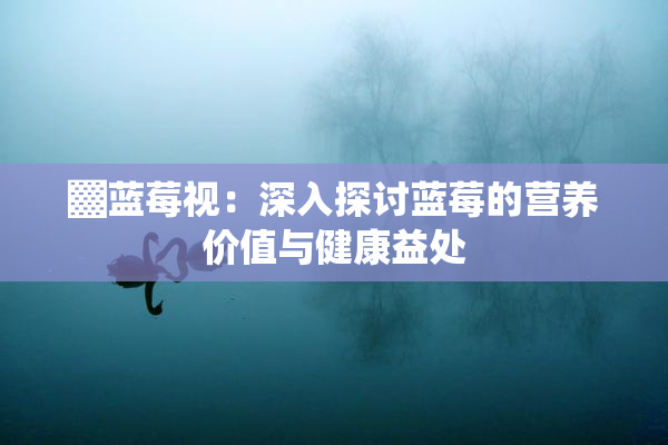 ▓蓝莓视：深入探讨蓝莓的营养价值与健康益处