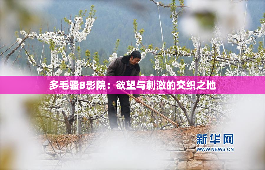 多毛骚B影院：欲望与刺激的交织之地