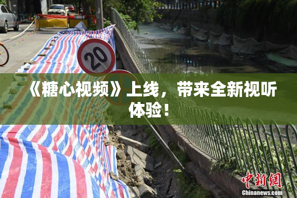 《糖心视频》上线，带来全新视听体验！