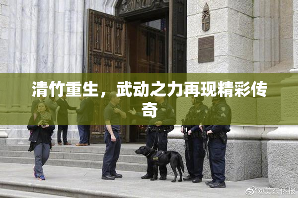 清竹重生，武动之力再现精彩传奇