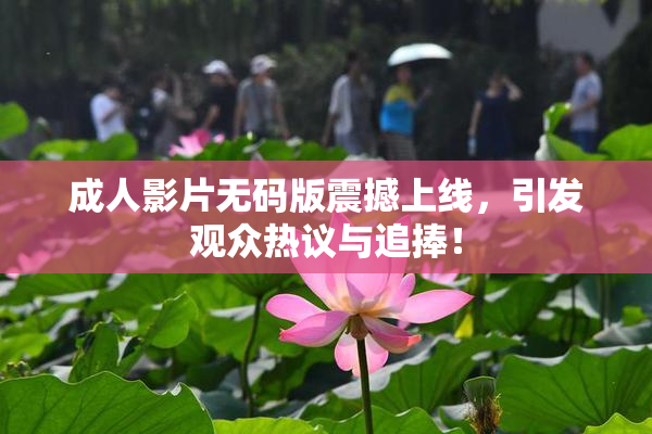 成人影片无码版震撼上线，引发观众热议与追捧！