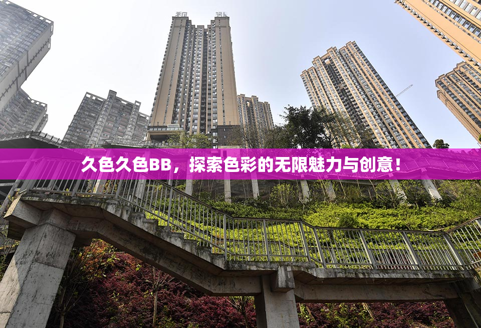 久色久色BB，探索色彩的无限魅力与创意！