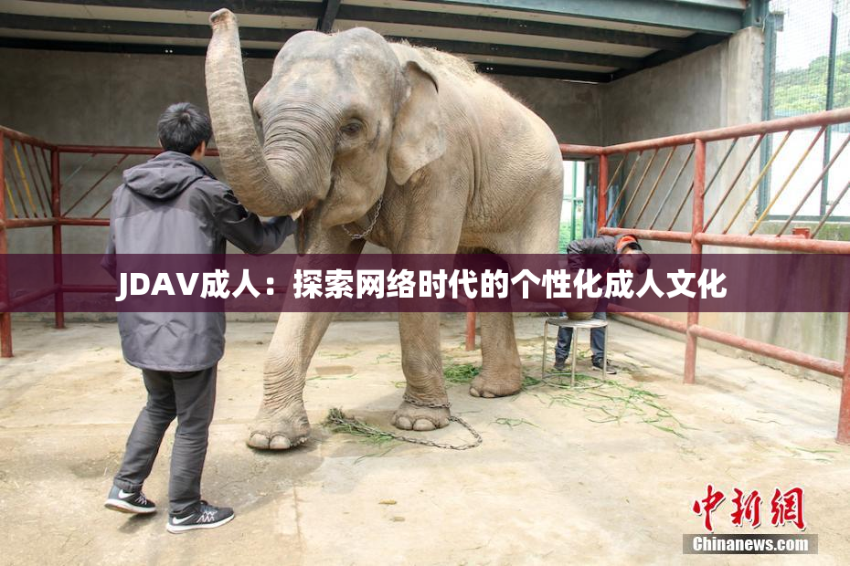 JDAV成人：探索网络时代的个性化成人文化