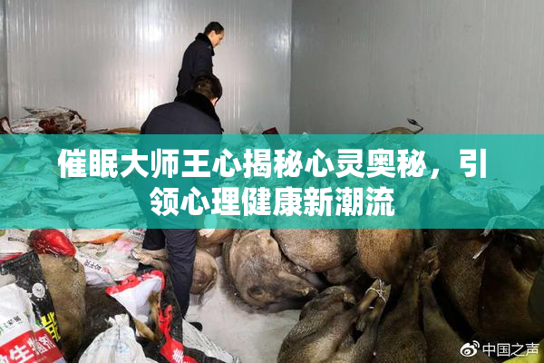 催眠大师王心揭秘心灵奥秘，引领心理健康新潮流