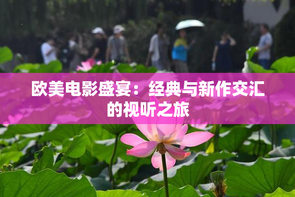 欧美电影盛宴：经典与新作交汇的视听之旅