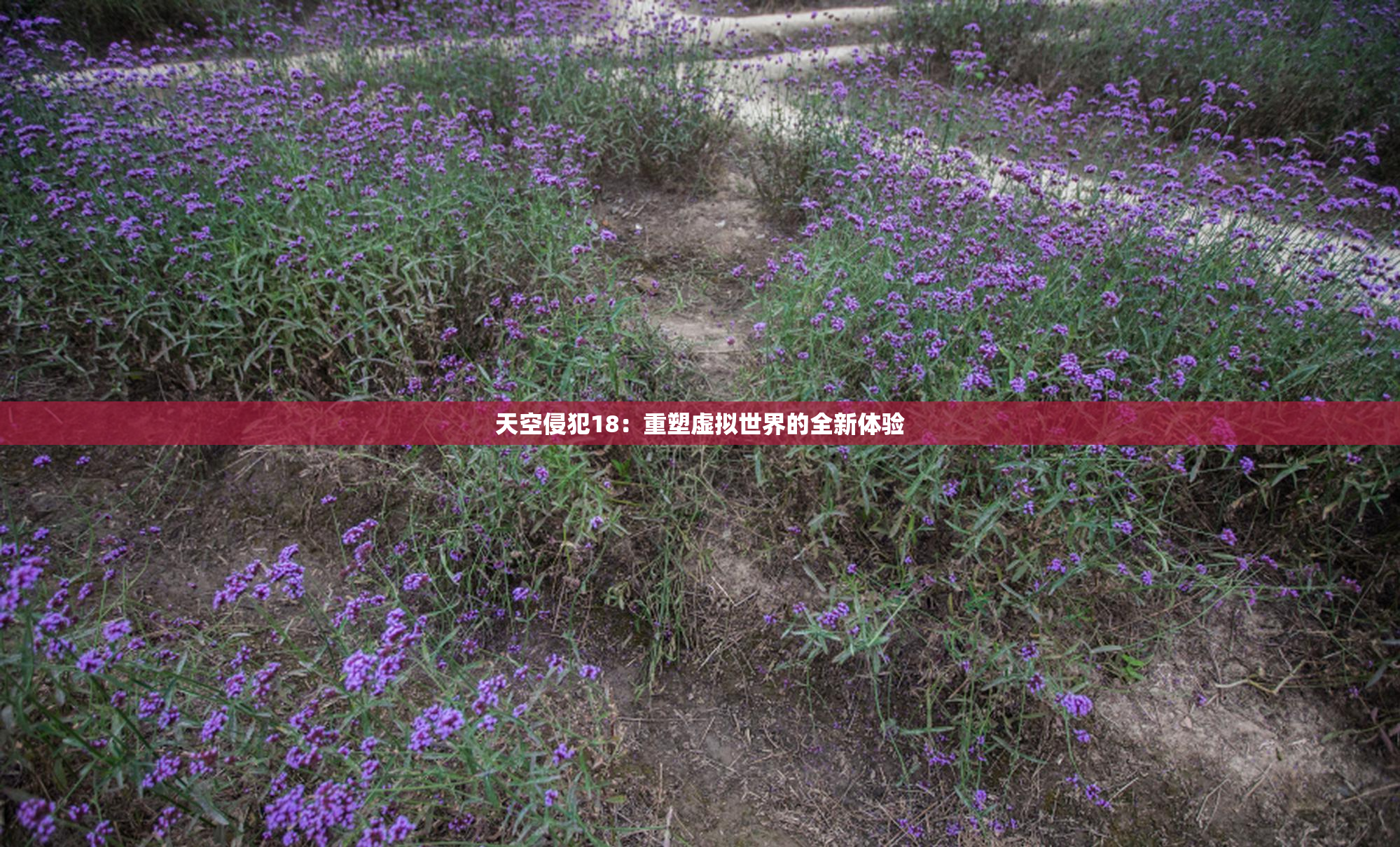 天空侵犯18：重塑虚拟世界的全新体验