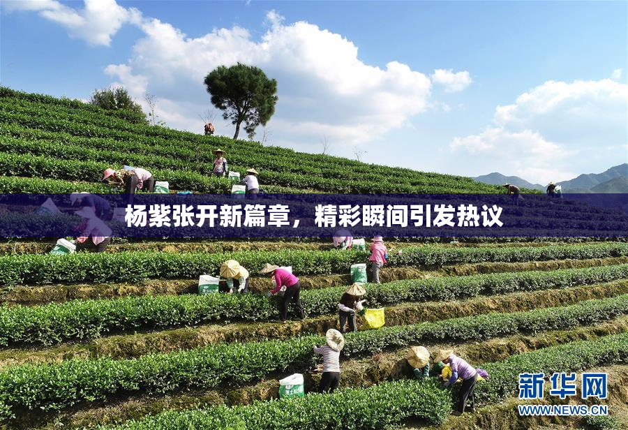 杨紫张开新篇章，精彩瞬间引发热议
