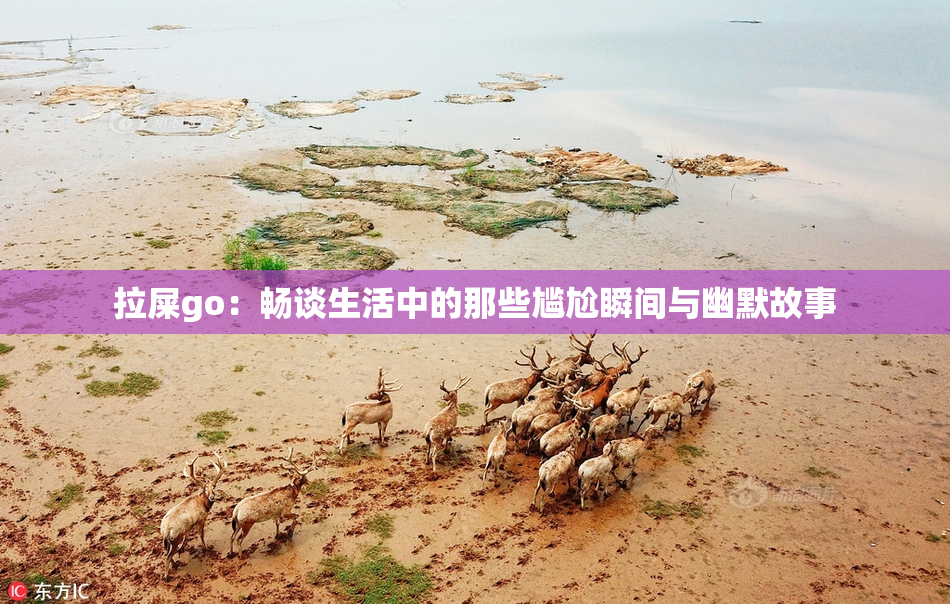 拉屎go：畅谈生活中的那些尴尬瞬间与幽默故事