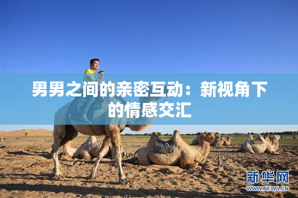 男男之间的亲密互动：新视角下的情感交汇
