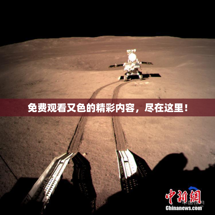 免费观看又色的精彩内容，尽在这里！