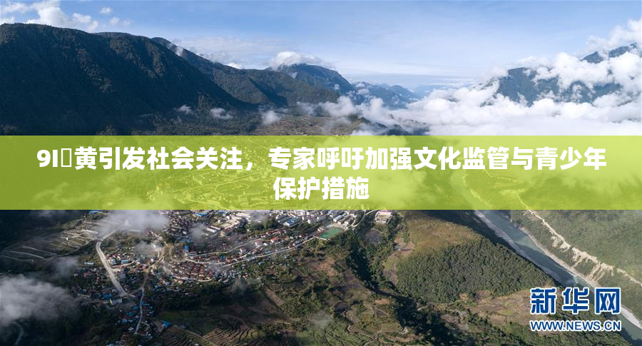 9I婬黄引发社会关注，专家呼吁加强文化监管与青少年保护措施