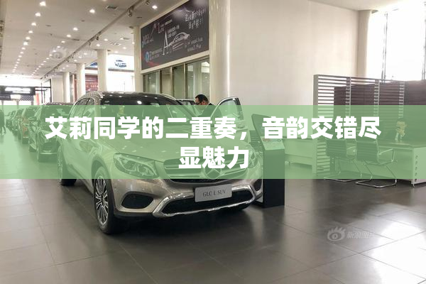 艾莉同学的二重奏，音韵交错尽显魅力