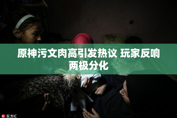 原神污文肉高引发热议 玩家反响两极分化