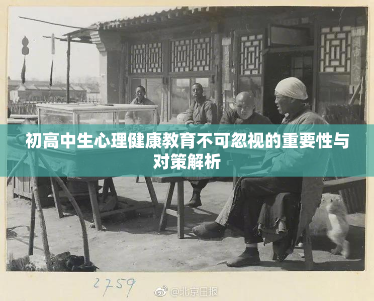 初高中生心理健康教育不可忽视的重要性与对策解析