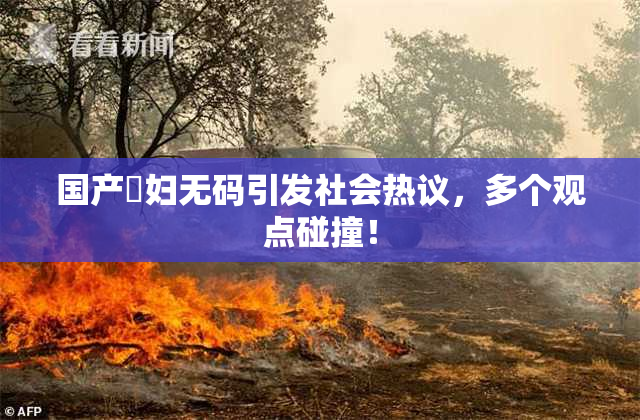 国产婬妇无码引发社会热议，多个观点碰撞！