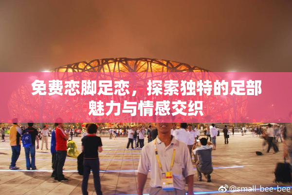 免费恋脚足恋，探索独特的足部魅力与情感交织