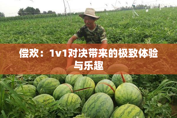 偿欢：1v1对决带来的极致体验与乐趣
