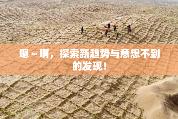 嗯～啊，探索新趋势与意想不到的发现！