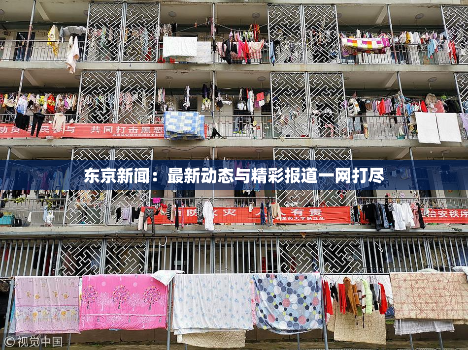 东京新闻：最新动态与精彩报道一网打尽