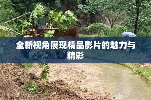 全新视角展现精品影片的魅力与精彩