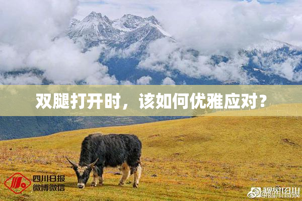 双腿打开时，该如何优雅应对？