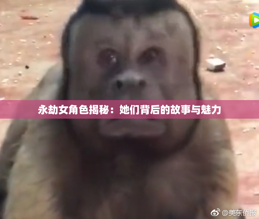 永劫女角色揭秘：她们背后的故事与魅力