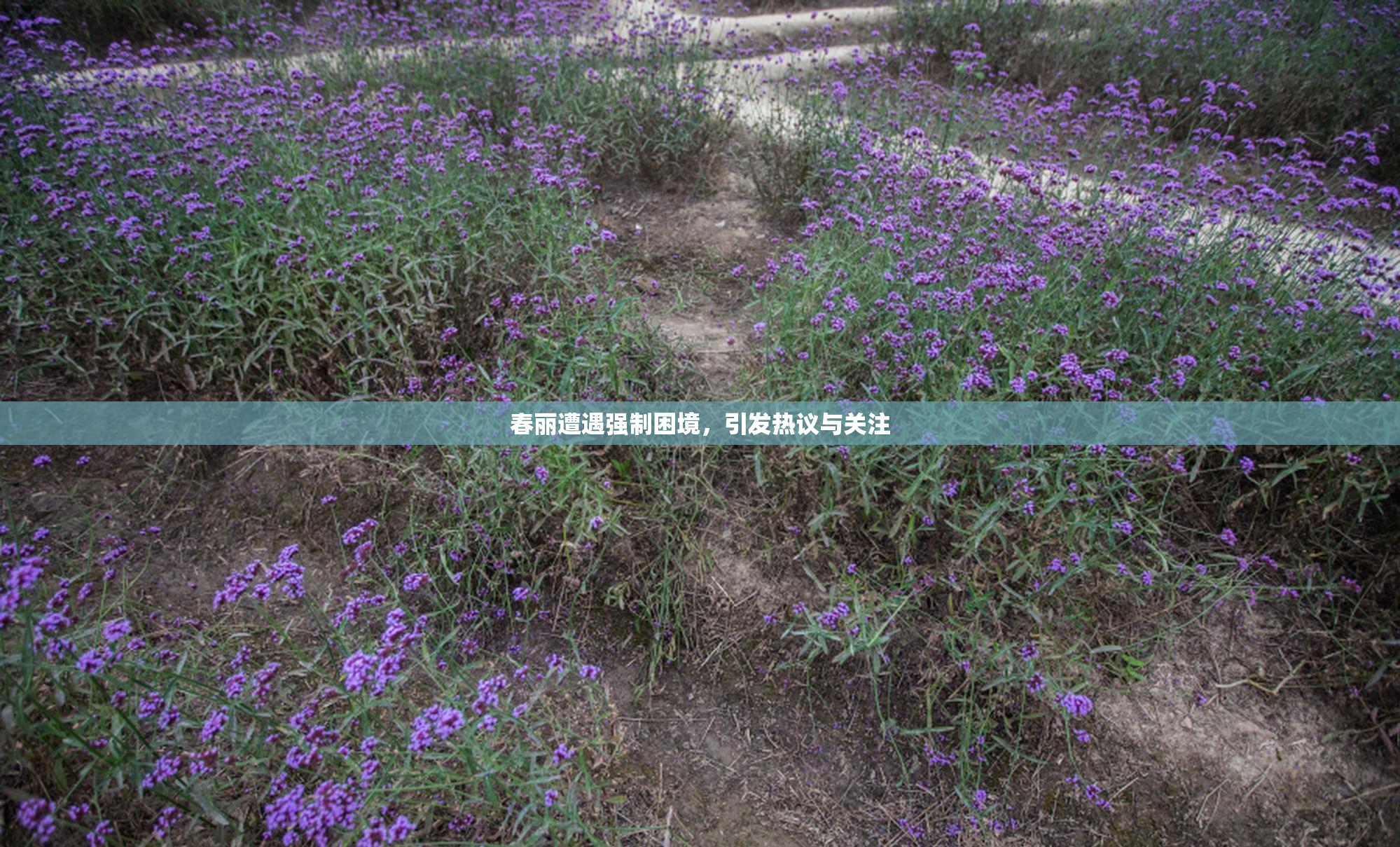 春丽遭遇强制困境，引发热议与关注