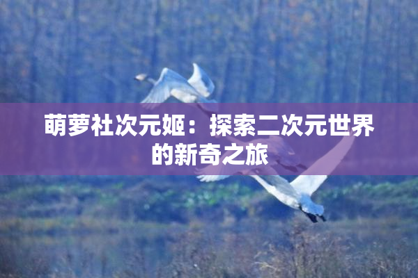 萌萝社次元姬：探索二次元世界的新奇之旅