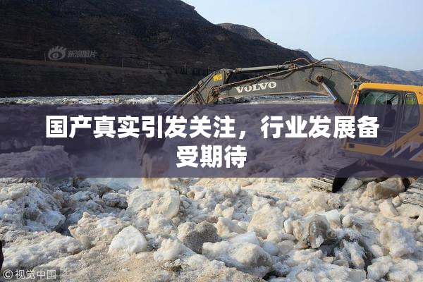 国产真实引发关注，行业发展备受期待