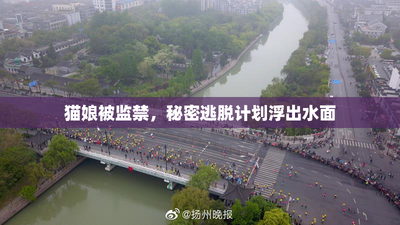 猫娘被监禁，秘密逃脱计划浮出水面