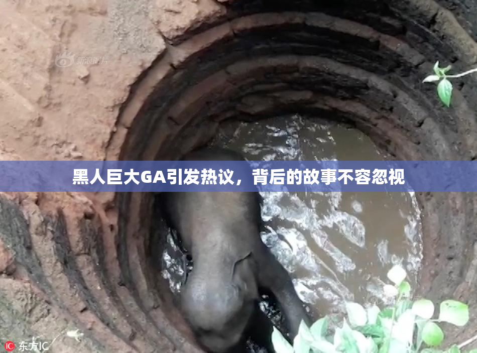 黑人巨大GA引发热议，背后的故事不容忽视
