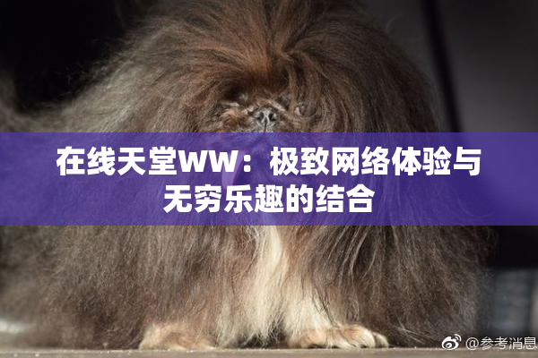 在线天堂WW：极致网络体验与无穷乐趣的结合