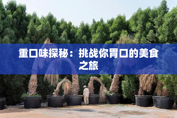 重口味探秘：挑战你胃口的美食之旅