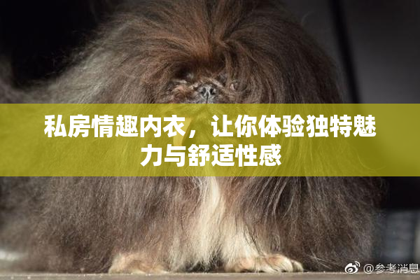 私房情趣内衣，让你体验独特魅力与舒适性感