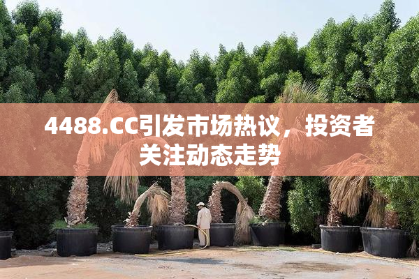 4488.CC引发市场热议，投资者关注动态走势