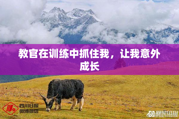 教官在训练中抓住我，让我意外成长