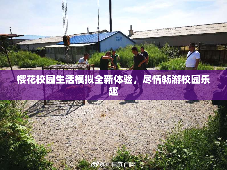 樱花校园生活模拟全新体验，尽情畅游校园乐趣