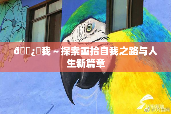 🌿‌我～探索重拾自我之路与人生新篇章
