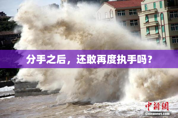分手之后，还敢再度执手吗？