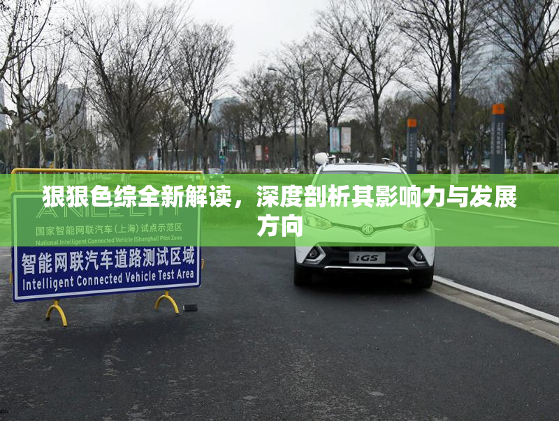 狠狠色综全新解读，深度剖析其影响力与发展方向