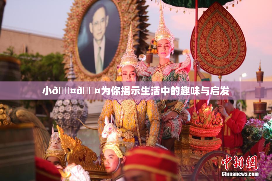 小🐤🐤为你揭示生活中的趣味与启发
