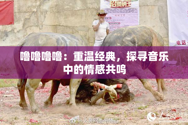 噜噜噜噜：重温经典，探寻音乐中的情感共鸣