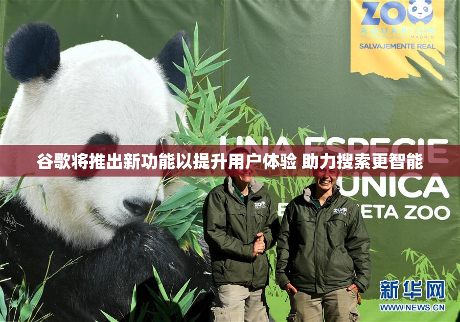 谷歌将推出新功能以提升用户体验 助力搜索更智能
