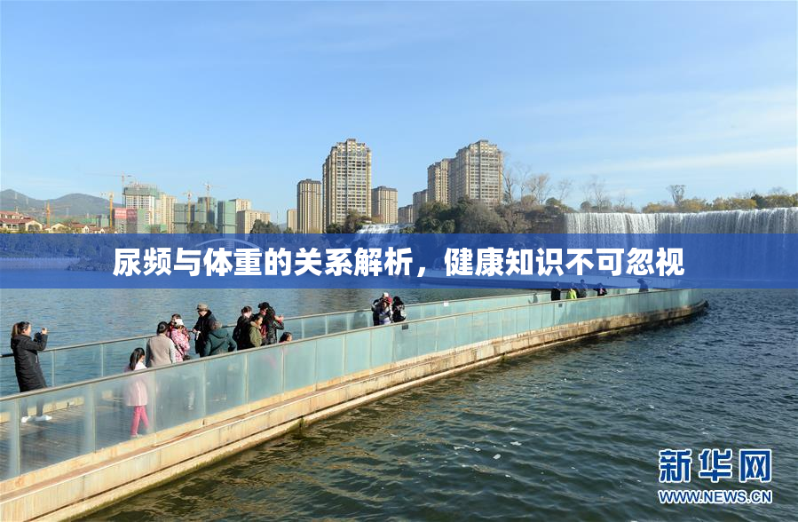 尿频与体重的关系解析，健康知识不可忽视