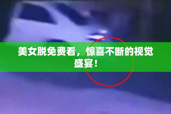 美女脱免费看，惊喜不断的视觉盛宴！