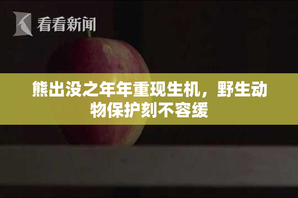 熊出没之年年重现生机，野生动物保护刻不容缓
